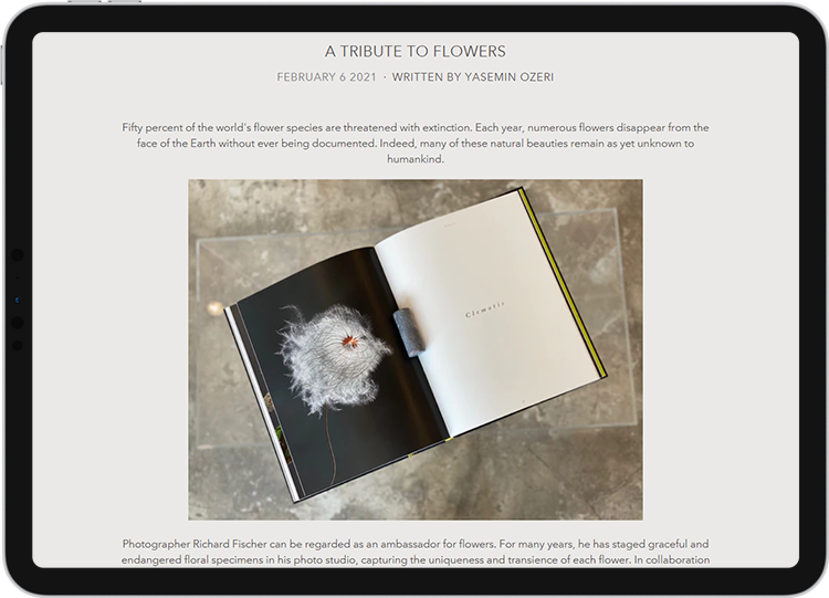 Yasemin Blog Post