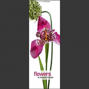 Flowers Everlating Kalender