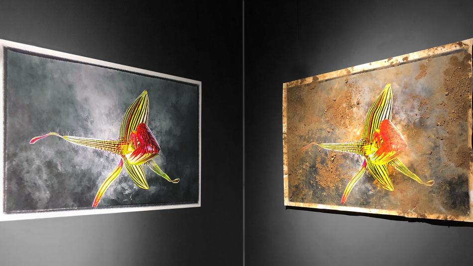 Exclusive Exhibit at the Flower Art Museum