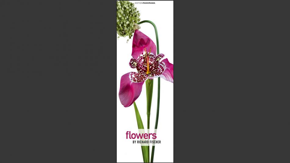 Flowers Everlating Kalender