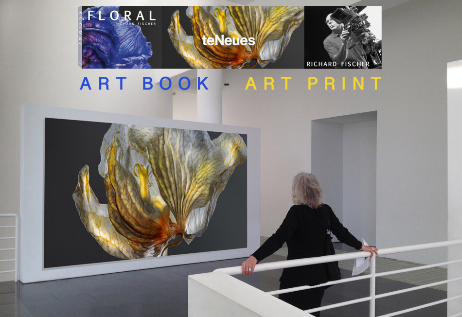 Art Book - Art Print
