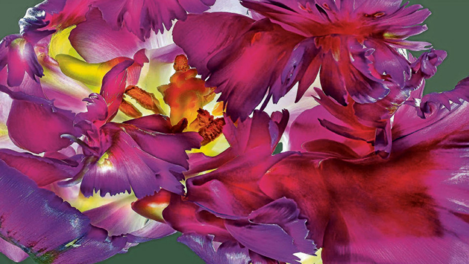 Rhen Neckar Zeitung • As if the flowers could speak