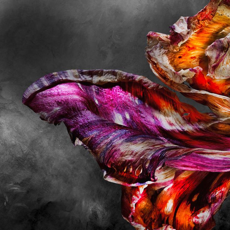 F